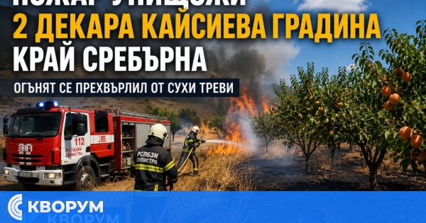 Пожар унищожи 2 декара кайсиева градина край Сребърна
