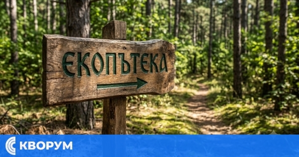 СЦДП засили проверките в туристическите зони заради високия риск от горски пожари