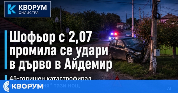 Шофьор с 2,07 промила се удари в дърво в Айдемир