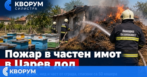 Пожар в частен имот в Царев дол унищожи фураж и пчелен мед, спасени са 50 кошера