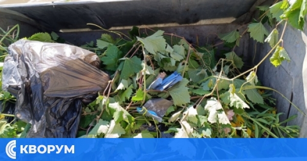 Кметство Гарван призова жителите да не изхвърлят зелени отпадъци в контейнерите за битова смет
