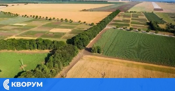 Община Главиница приема заявления за наем на земеделски земи – общинска собственост