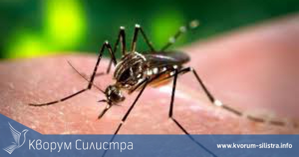 На 18 юни отново ще пръскат за комари в община Силистра