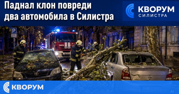 Паднал клон от чинар повреди два автомобила в Силистра