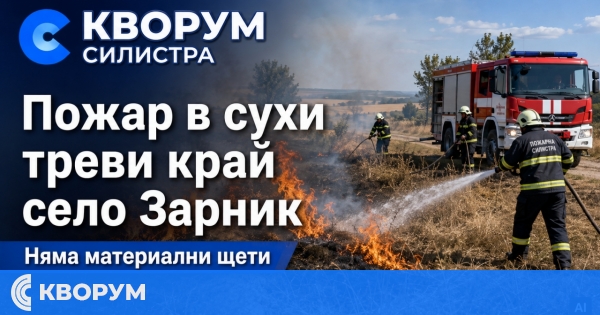 Пожар в сухи треви край село Зарник