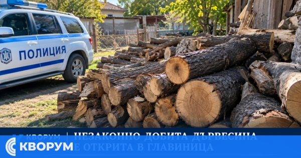 Незаконно добита дървесина е открита в частен имот в Главиница