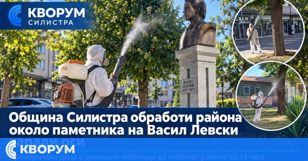 Община Силистра обработи район около паметника на Васил Левски заради гнездо с оси