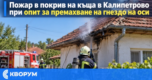 Пожар в покрив на къща в Калипетрово възникна при опит за премахване на гнездо на оси