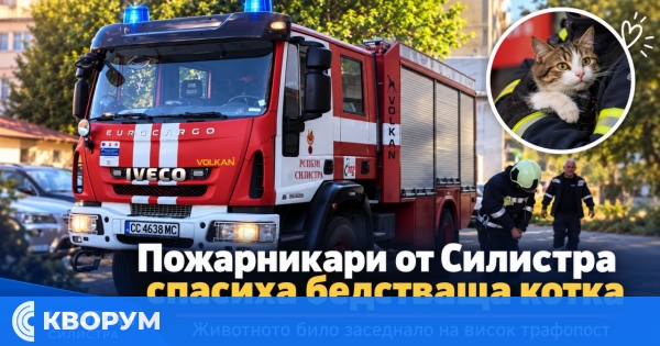 Пожарникари от Силистра помогнаха на бедстваща котка, заседнала на висок трафопост