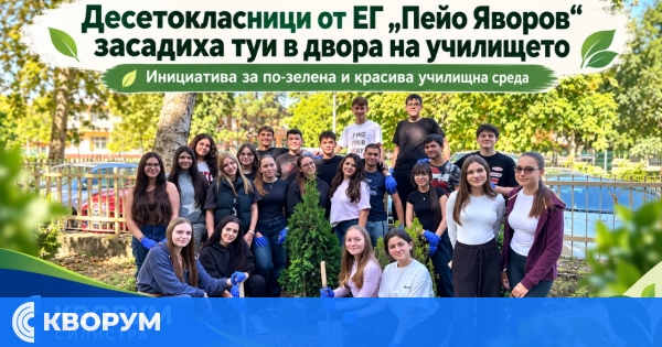 Десетокласници от ЕГ "Пейо Яворов" засадиха туи в двора на училището