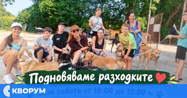 Animal Project възобновява разходките на кучета в приюта в Калипетрово