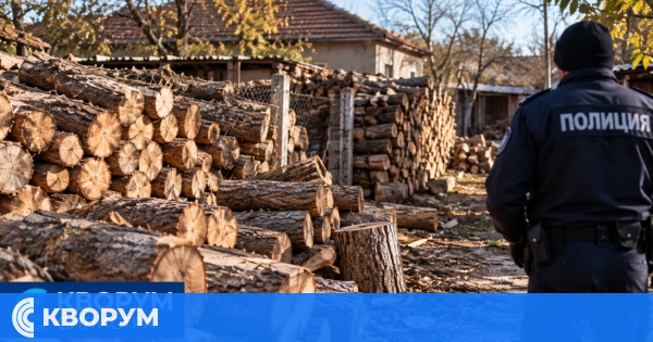 Незаконно добити дърва откриха при полицейски проверки в село Звенимир