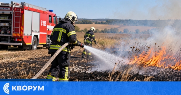 Пет пожара в отпадъци, сухи треви и стърнища са погасени в Силистренско
