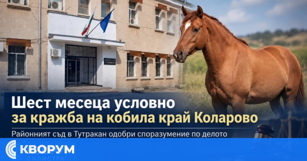 Шест месеца условно за кражба на кобила в землището на село Коларово