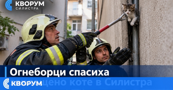 Огнеборци в Силистра спасиха коте, заклещено между две сгради