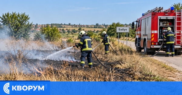 Пожар в сухи треви край село Бабук беше потушен без щети