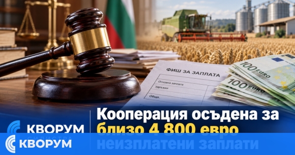 Земеделска кооперация в Силистренско е осъдена да плати близо 4 800 евро неизплатени заплати