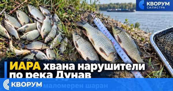 ИАРА състави 9 акта след проверки по река Дунав