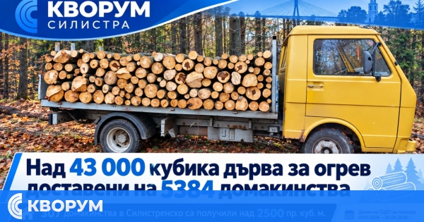 Преди зимата: Над 2 500 кубика дърва за огрев са доставени на 307 домакинства в Силистренско