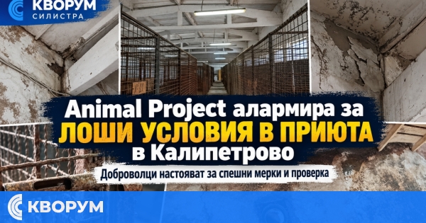 Animal Project Силистра алармира за условията в общинския приют в Калипетрово