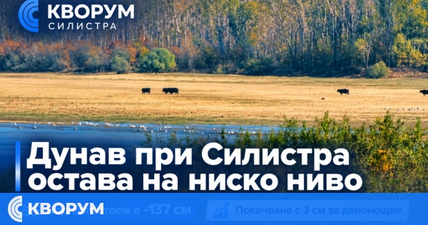 Дунав при Силистра остава на ниско ниво, но се покачи с 3 см за денонощие