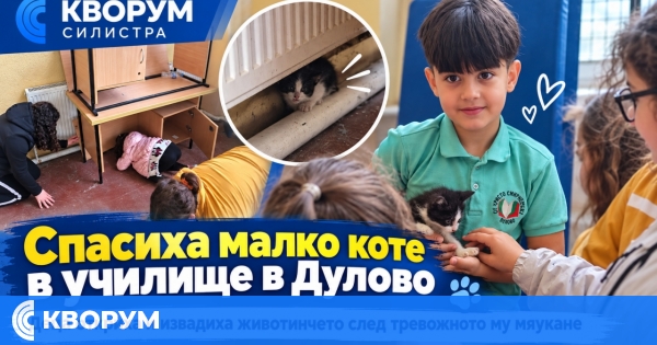 Коте беше спасено след два дни, заключено във физкултурния салон на училище в Дулово