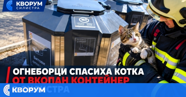 Огнеборци спасиха котка от вкопан контейнер в Силистра