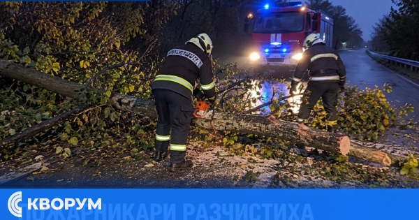 Пожарникари разчистиха паднали дървета край село Пожарево