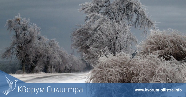 Камиони закъсаха на пътя Силистра - Русе