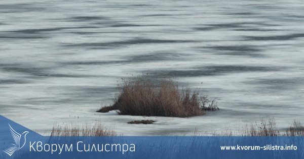 Всички водни площи в резервата "Сребърна" са замръзнали