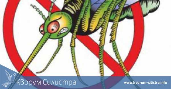 Започва обработка срещу комари в община Силистра