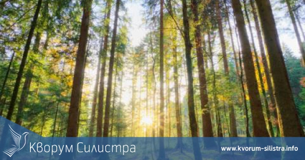 Mасови уволнения в системата на горското стопанство в Силистра и Дулово