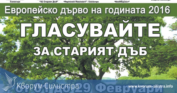 Последни дни гласуваме за Европейско дърво на годината
