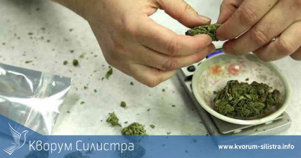 Дилърството на марихуана - любимо занятие на силистренските ученици?