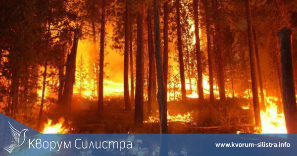 Става страшно, не сводка за пожарите, а военна хроника!!!