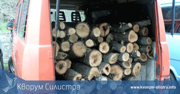 НОВО ДВАЙСЕТ: Кара без книжка, но натоварен с крадени дърва