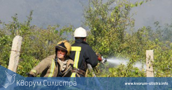 300 декара лозя изгоряха в Тутраканско