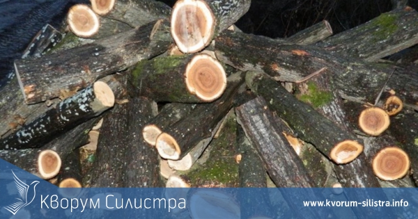 Заловиха 4 кубика крадени дърва