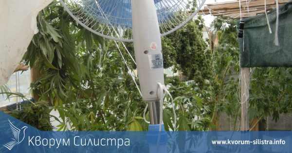 Силистренски криминалисти разкриха наркооранжения в Айдемир