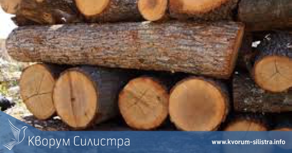 8 кубика крадени дърва залови полицията в две акции вчера