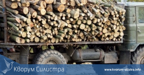 Хванаха бракониери с два камиона нелегални дърва