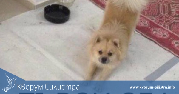 Продължава издирването на ПУХЧО