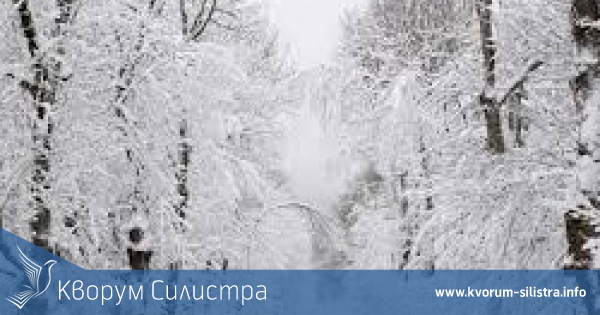 Най-ниската температура в Силистренско - минус 15 градуса, е измерена в Главиница