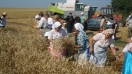 Гарвански снимки за жътва и погачи - оценени на фестивал в Пернишко