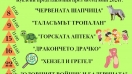 Драматично-куклен театър Силистра радва малки и големи с пъстроцветна програма през юни